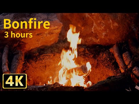 4K 直火焚き火の音と映像でリラックスする３時間（焚き火ASMR）