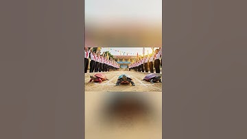 Rùa của Capy được Rùa Tím giúp sức #bavacapybara #capybara