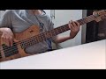 Shakira - Whenever, Wherever (bass cover)