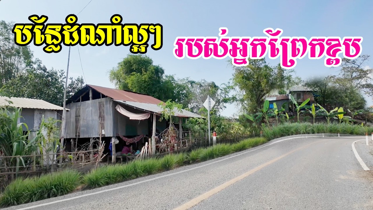 បន្លែដំណាំអ្នកខាងព្រែកខ្ពបល្អៗណាស់ដាំតែតាមមាត់ៗថ្នល់ក៏បានហូបដែលពួគគាត់មិនទុកដីជុំវិញផ្ទះទំនេរចោលទេ