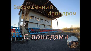 Заброшенный ипподром с лошадями Abandoned hippodrome with horses