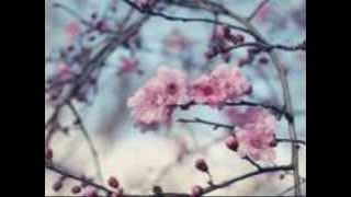 Sewu Siji - Didi Kempot
