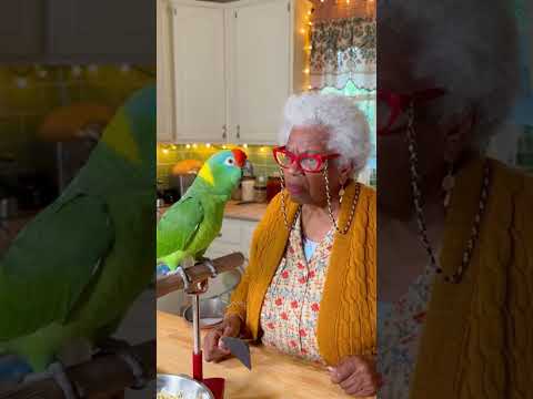 MindVideo 20251222053011 544 