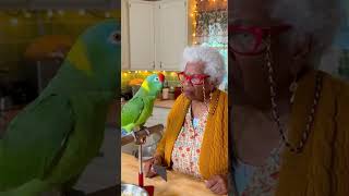 Mindvideo 20251222053011 544