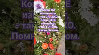 Измена. #психология #семья #любовь #жена #муж #мужчина #женщина #мудрость #цветы