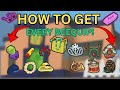 How To Get *EVERY* Beequip | Roblox Bee Swarm Simulator