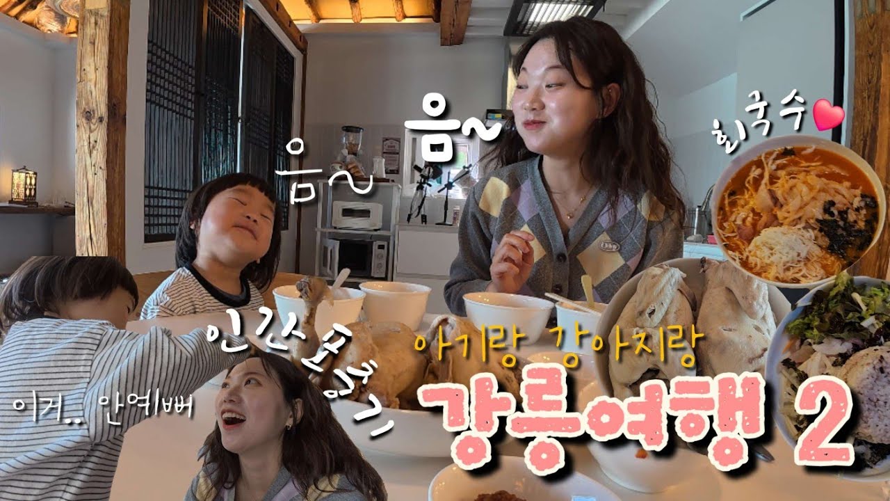 40개월 아이랑 9살 강아지랑 강릉여행2, 강릉맛집, 옛성도물회, 강릉회국수❤️, 숙소에서 압력솥으로 삼계탕 끓여먹기, 인간포충기