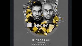 Neverdogs - El Puto Train (Original Mix)
