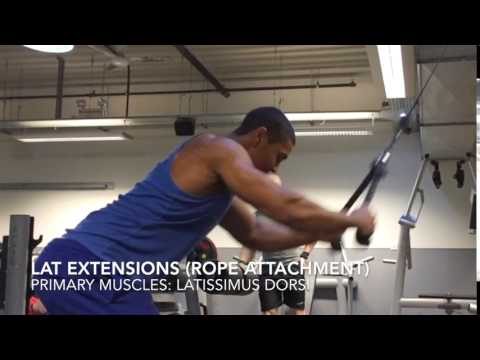 Lat Extensions (Rope Attachment) - S W Fitness