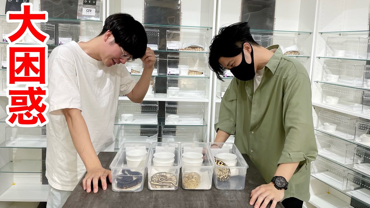 専門店の餌食になりいずれ大破産するであろうYouTuber達