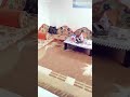 ايها العاصي بدون موسيقى