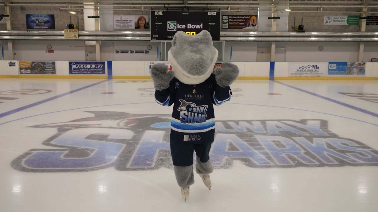 Finn The Solway Sharks Mascot Reveal Video
