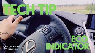 Lexus Tech Tip- Eco Indicator Light