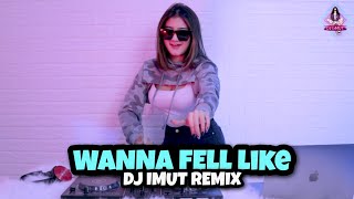 DJ WANNA FELL LIKE || ASIK BANGET!!! (DJ IMUT REMIX)