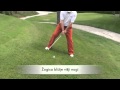 video Klub Golf Plus Nasvet....