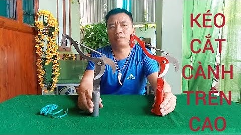 ĐẦU KÉO CẮT TỈA CÀNH CÂY HÁI HOA QUẢ TRÊN CAO THUẬN TIỆN CHO MỌI NHÀ 