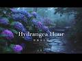 Japanese Healing Jazz 🌧️ Hydrangea Hour 紫陽花の刻 | 3 Hour Piano BGM with Rain for Sleep