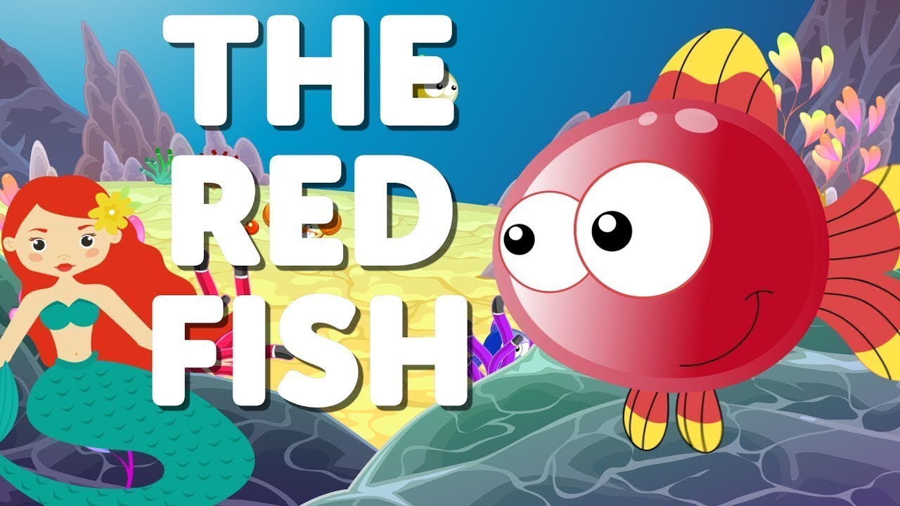 The Red Fish İngilizce Bebek ve Çocuk Şarkısı Altyazılı