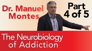 Dr. Montes: Neurobiology of Addiction Part 4 of 5 | The Treatment Center