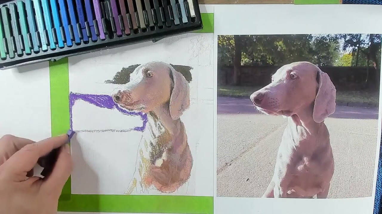 Draw a Realistic Dog  - Time Lapse