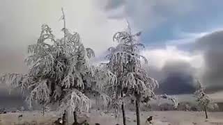 شاهد جمال الثلوج على جبال مقرس - سطيف / Megres Setif - La Neige
