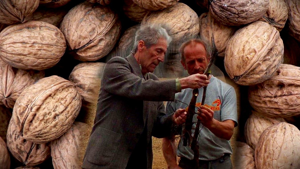 Alsószentiván   Egy perc Magyarország