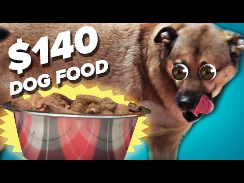 $10-dog-food-vs.-$140-dog-food