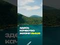 Плачу 140.000 ₽ за Коммуналку в Бразилии