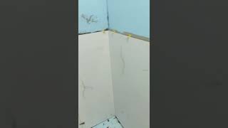 1 Апреля 2025 Г.