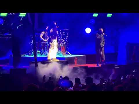 Twenty One Pilots “Lane Boy” Live Mid-Fla Credit Union Amphitheater Tampa 10-11-2025