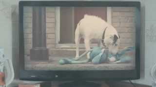 Thinkbox - Harvey and Rabbit - Best Friends Forever