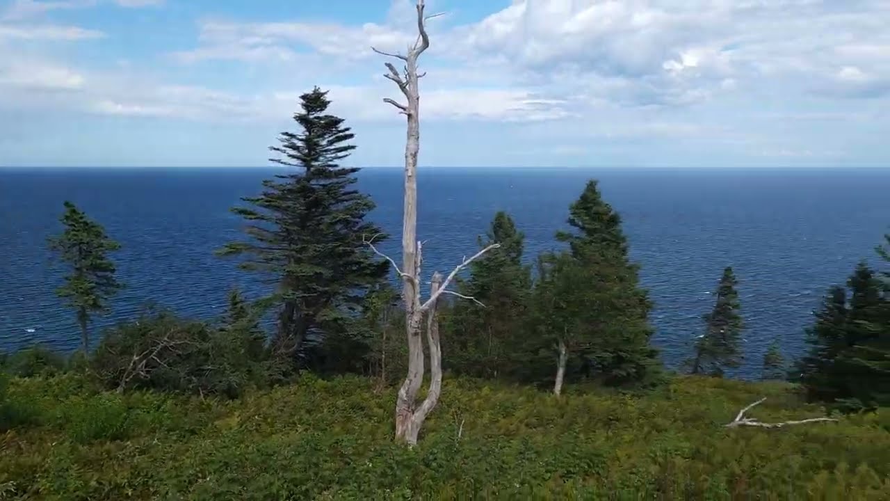 Walking to the Gannet Colony at Bonaventure Island in Perce, Quebec.