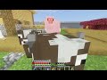 SpreadSMP #1 - Farms