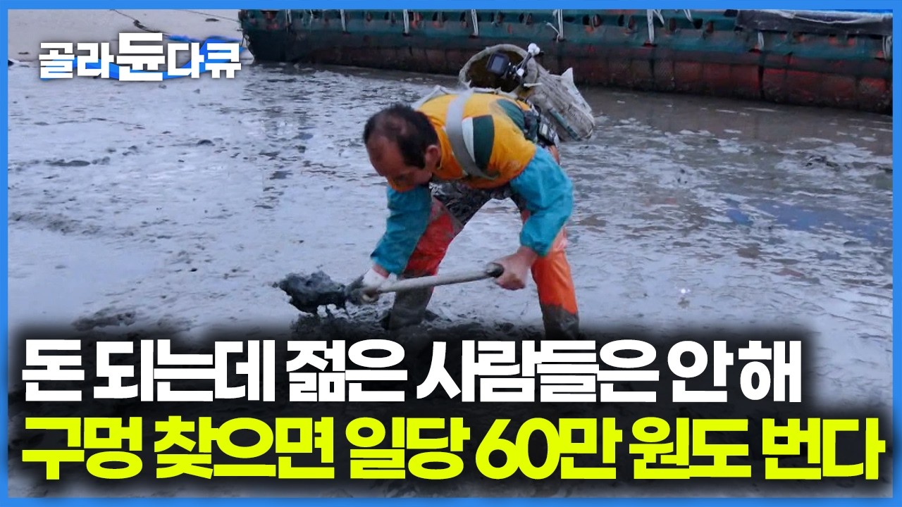 배우기만 하면 4시간 만에 60 넘게 버는데 젊은 사람들은 힘들다고 안 한대｜갯벌 낙지 고수｜바닷가사람들｜#골라듄다큐