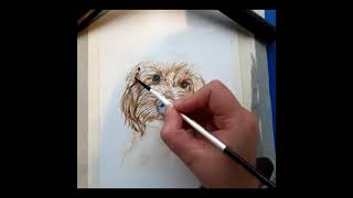 Watercolour Pet Portrait | Speed Time Lapse | Cavapoo #shorts #dog #dogshorts #art #timelapse Profile