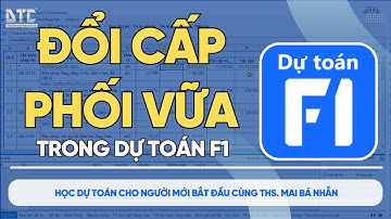 Hướng dẫn đổi cấp phối vữa bê tông Dự toán F1| Th.S Mai Bá Nhẫn| DTC #dutoanf1 #dtc