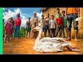 1 Goose 25 People Food Of Madagascar
