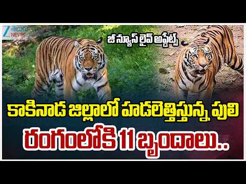 Tiger Sighting Creates Panic in Prathipadu, 11 Teams in the Field | Kakinada District | Zee News - ZEE24TELUGUNEWS