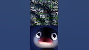 مميز برمجة - البطريق - #programmerfero #coding #coder #programmer_fero #codeing #youtuber #shorts