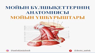 Тесігінде татуировкасы бар порно жұлдыз