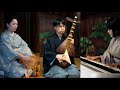 君をのせて 天空の城ラピュタ Le Chateau Dans Le Ciel 薩摩琵琶 鳴物 ぴあので演奏してみた 君をのせて 天空の城ラピュタ Le Chateau Dans Le Ciel 薩摩琵琶 鳴物 ぴあので演奏してみた