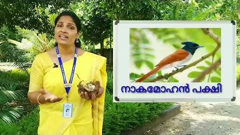 STD 4 EVS UNIT 4 CLASS 20 WHITE BOARD ASD