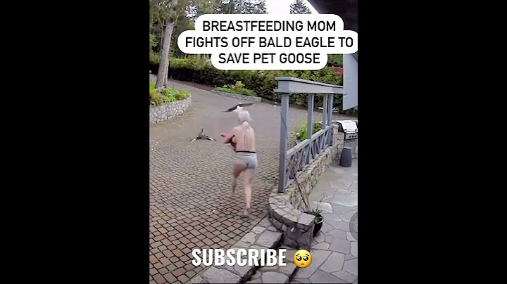 *NEW* BALD EAGLE Almost Took Her Pet GOOSE🥺
