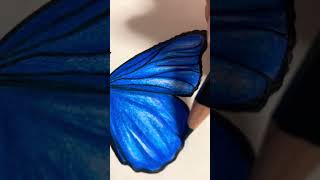 Schmetterling malen 🦋