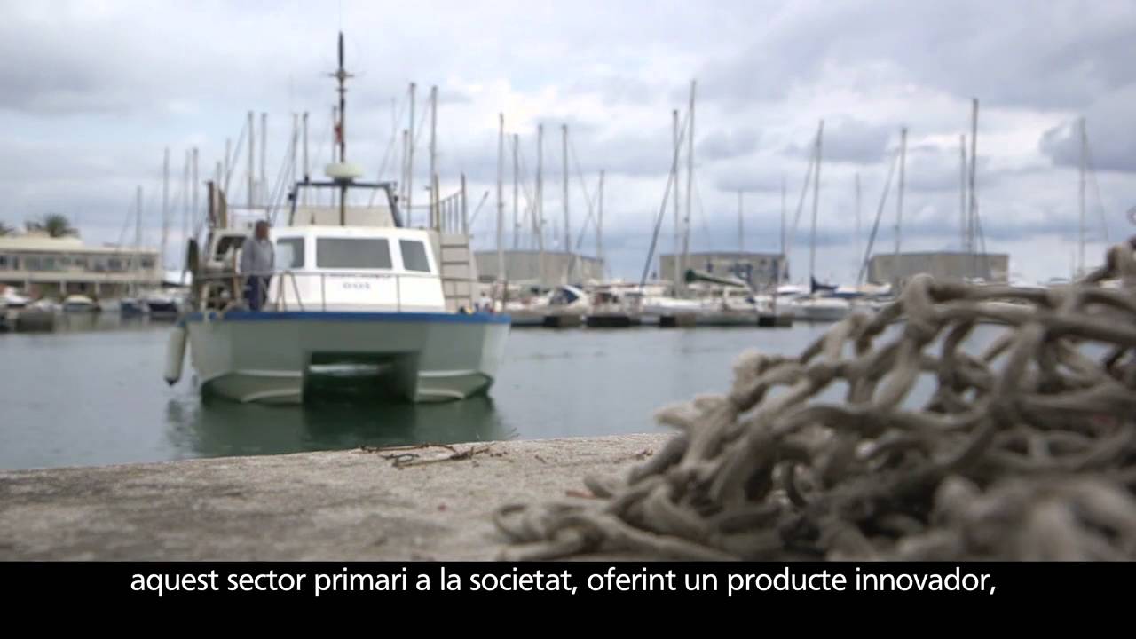kxan traffic Trip&Feel - Programa d’Emprenedoria Social de l’Obra Social ”la Caixa”