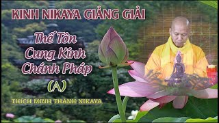 Kinh NIKAYA Giảng Giải - Thế Tôn Cung Kính Chánh Pháp  A