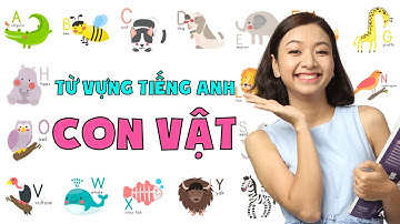 Học từ vựng tiếng Anh qua các con vật (quen thuộc) Ms Thuỷ KISS English