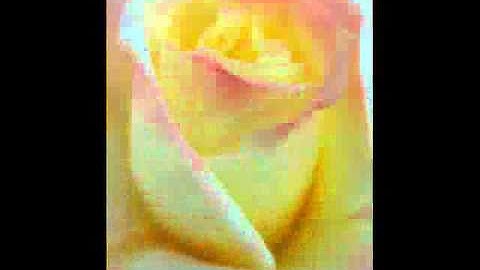 If I defend myself I am attacked. ACIM L. 135 Part II.wmv