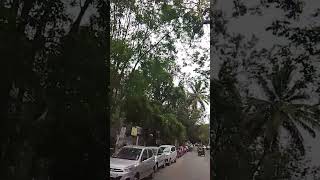 Onti naanu maragaleOnti naanu elegaleKokkinalli thindiyaGutu @vinayakagroup-v6s