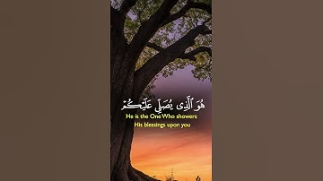 سورة الأحزاب _ الشيخ احمد العجمى